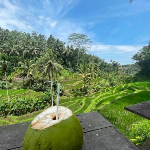 Ubud Bali rice terrace
