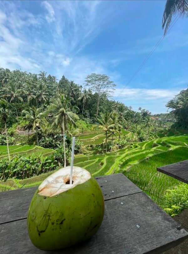 Ubud Bali rice terrace